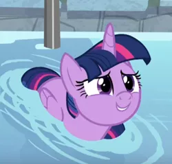 Size: 431x412 | Tagged: safe, derpibooru import, screencap, twilight sparkle, twilight sparkle (alicorn), alicorn, pony, deep tissue memories, spoiler:deep tissue memories, spoiler:mlp friendship is forever, cropped, cute, female, folded wings, mare, smiling, solo, swimming pool, twiabetes, twilight duckle, water, weapons-grade cute, wings