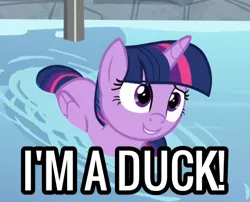 Size: 496x401 | Tagged: safe, derpibooru import, edit, edited screencap, screencap, twilight sparkle, twilight sparkle (alicorn), alicorn, pony, deep tissue memories, spoiler:deep tissue memories, spoiler:mlp friendship is forever, behaving like a bird, behaving like a duck, cropped, cute, female, folded wings, mare, smiling, solo, swimming pool, text, twiabetes, twilight duckle, water, wings