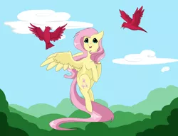 Size: 1300x1000 | Tagged: safe, artist:maravor, derpibooru import, fluttershy, bird, pegasus, pony, cloud, cute, female, flying, mare, open mouth, shyabetes, sky, solo, spread wings, wings