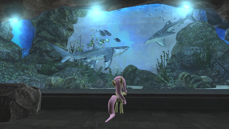 Size: 1920x1080 | Tagged: safe, artist:sevenxninja, derpibooru import, fluttershy, fish, pegasus, pony, shark, 3d, aquarium, big fish, gmod, observation, plant, rock, solo