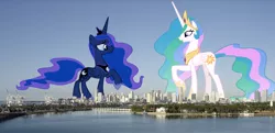 Size: 1000x483 | Tagged: safe, derpibooru import, princess celestia, princess luna, alicorn, pony, city, crown, duo, female, giant alicorn, giant pony, giantess, giantlestia, highrise ponies, irl, jewelry, macro, mare, mega celestia, mega luna, photo, ponies in real life, raised hoof, regalia, royal sisters, siblings, sisters