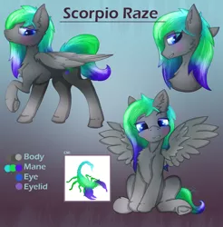 Size: 2956x3000 | Tagged: safe, artist:jesterpi, derpibooru import, oc, oc:scorpio raze, pegasus, pony, abstract background, blushing, cutie mark, front, head, reference sheet, side, sitting, smiling, tall, text