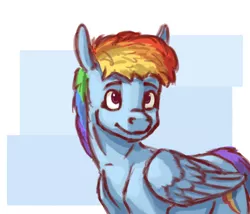 Size: 3500x3000 | Tagged: safe, artist:fynjy-87, derpibooru import, rainbow dash, pegasus, pony, abstract background, cutie mark, female, smiling, solo, wings