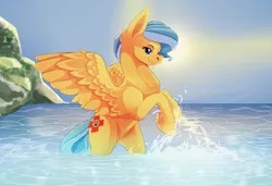 Size: 1194x818 | Tagged: safe, artist:kinvil, derpibooru import, oc, oc:ocean shore, pegasus, commission, commissioner:th3bluerose, eyes closed, female, ocean, pegasus oc, playing, rearing, socks (coat marking), splashing, wings, ych result