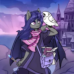 Size: 1920x1920 | Tagged: safe, artist:shooshaa, derpibooru import, oc, oc:dusk rhine, anthro, bat pony, bird, owl, adventurer, clothes, cute, female, pet, robe, satchel, solo, wand, wizard