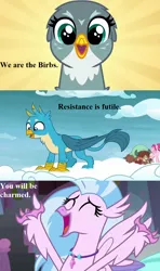 Size: 800x1350 | Tagged: safe, derpibooru import, edit, edited screencap, screencap, bifröst, gabby, gallus, silverstream, yona, bird, classical hippogriff, gryphon, hippogriff, pegasus, pony, yak, school daze, school raze, the fault in our cutie marks, birb, borg, bronybait, cloud, cute, diastreamies, friendship student, gabbybetes, gallabetes, jewelry, necklace, speech, star trek, talking