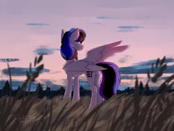 Size: 1920x1440 | Tagged: safe, artist:redslipp, derpibooru import, oc, oc:kezzie, unofficial characters only, pegasus, pony, female, field, mare, solo