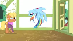 Size: 1000x562 | Tagged: safe, derpibooru import, screencap, ms. harshwhinny, rainbow dash, earth pony, pegasus, pony, flight to the finish, cute, dashabetes, flip, grin, hat, ms. harshwhinny is not amused, smiling, upside down