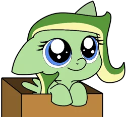 Size: 550x512 | Tagged: safe, artist:didgereethebrony, artist:lilylupony, derpibooru import, oc, oc:boomerang beauty, pegasus, pony, base used, blue eyes, box, female, filly, floppy ears, in a box, pony in a box, simple background, solo, trace, transparent background