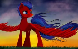 Size: 4000x2500 | Tagged: safe, artist:nixworld, derpibooru import, oc, oc:swift wing, unofficial characters only, pegasus, pony, fanfic art, frown, grass, high res, male, oc pegasus, sky, solo, stallion, wings