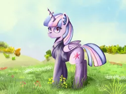 Size: 2100x1560 | Tagged: safe, artist:bacbko, derpibooru import, twilight sparkle, twilight sparkle (alicorn), alicorn, pony, bush, clothes, ear fluff, female, flower, grass, grass field, hoodie, looking at you, mare, scenery, solo, tree