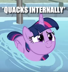 Size: 544x576 | Tagged: safe, derpibooru import, edit, edited screencap, screencap, twilight sparkle, twilight sparkle (alicorn), alicorn, bird, duck, duck pony, pony, deep tissue memories, spoiler:deep tissue memories, behaving like a duck, c:, caption, cropped, cute, female, folded wings, image macro, lidded eyes, looking up, mare, meme, smiling, solo, swimming, text, twiabetes, twilight duckle, water, wings, x internally