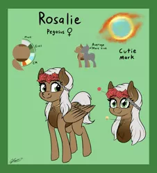 Size: 3000x3320 | Tagged: safe, artist:seafooddinner, derpibooru import, oc, oc:rosalie, unofficial characters only, pegasus, pony, commission, cute, cutie mark, female, flower, flower in hair, jewelry, mare, necklace, reference, reference sheet