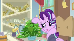 Size: 1920x1080 | Tagged: safe, derpibooru import, screencap, phyllis, starlight glimmer, pony, unicorn, a horse shoe-in, female, inkwell, mare, philodendron, potted plant, quill, scroll, solo, starlight's office