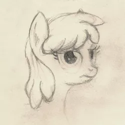 Size: 800x800 | Tagged: safe, artist:hotkinkajou, derpibooru import, cherry berry, earth pony, pony, bust, grumpy, monochrome, pencil drawing, simple background, solo, traditional art