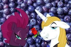 Size: 2064x1378 | Tagged: annoyed, berryblood, blueberries, blueberry, blueberry (ship), derpibooru import, female, fizzlepop berrytwist, flower, flower in mouth, food, frown, fruit, male, mouth hold, not amused face, opposites, prince blueblood, pun, rose, rose in mouth, safe, shipping, smiling, smug, straight, tempest shadow, tempest shadow is not amused, unamused, word play