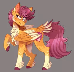 Size: 959x943 | Tagged: safe, artist:wanderingpegasus, derpibooru import, scootaloo, pegasus, pony, cheek fluff, chest fluff, cutie mark, dappled, ear fluff, feathered fetlocks, female, fluffy, leg fluff, mare, socks (coat marking), solo, tail feathers, two toned wings, wings