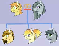 Size: 339x266 | Tagged: safe, artist:rainbowquasar, derpibooru import, braeburn, marble pie, oc, oc:citrine, oc:mica, oc:mossy stone, earth pony, braeble, cropped, deviantart, family tree, female, male, married couple, offspring, parent:braeburn, parent:marble pie, parents:braeble, shipping, story included, straight