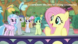 Size: 1280x720 | Tagged: butterfly, cute, derpibooru import, diastreamies, edit, edited screencap, end zone, fluttershy, friendship student, jewelry, lord of the rings, lore of living creatures, marks for effort, necklace, safe, sandabetes, sandbar, school of friendship, screencap, shyabetes, silverstream, slateabetes, slate sentiments, speech, strawberry scoop, summer meadow, talking, the two towers, tolkien