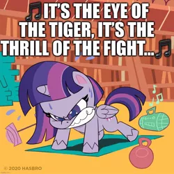 Size: 1080x1080 | Tagged: safe, derpibooru import, edit, edited screencap, screencap, twilight sparkle, twilight sparkle (alicorn), alicorn, pony, my little pony: pony life, angry, barbell, book, bookshelf, caption, exercise, eye of the tiger, female, folded wings, gritted teeth, image macro, kettlebell, mare, push-ups, radio, rocky (movie), solo, song reference, survivor (band), sweat, text, weight, wings, workout