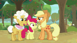 Size: 320x180 | Tagged: safe, derpibooru import, screencap, ahuizotl, apple bloom, applejack, biff, discord, doctor caballeron, doctor whooves, fluttershy, goldie delicious, granny smith, matilda, pinkie pie, rainbow dash, rarity, spike, starlight glimmer, sunburst, time turner, trixie, twilight sparkle, twilight sparkle (alicorn), alicorn, donkey, draconequus, dragon, earth pony, pony, unicorn, a horse shoe-in, a trivial pursuit, a-dressing memories, cakes for the memories, daring doubt, dragon dropped, going to seed, student counsel, the ending of the end, spoiler:a-dressing memories, spoiler:a-dressing memories spoiler:cakes for the memories, spoiler:cakes for the memories, animated, apple, apple tree, bag, boop, boop compilation, carousel boutique, compilation, female, food, gif, glasses, glowing eyes, henchmen, male, mare, messy hair, messy mane, noseboop, saddle bag, stallion, sugarcube corner, supercut, tree, twilight snapple, winged spike