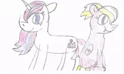 Size: 955x571 | Tagged: safe, artist:ptitemouette, derpibooru import, oc, oc:belle, oc:brillant crown, alicorn, pegasus, pony, female, filly, magical lesbian spawn, offspring, parent:fleur-de-lis, parent:princess cadance, parents:fleurdance, simple background, white background