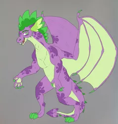 Size: 1897x1995 | Tagged: alternate design, artist:nightshade2004, derpibooru import, dragon, gray background, older, safe, simple background, solo, spike, winged spike