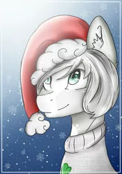 Size: 1039x1476 | Tagged: safe, artist:irinamar, derpibooru import, oc, unofficial characters only, earth pony, pony, bust, christmas, clothes, ear fluff, earth pony oc, hat, holiday, santa hat, smiling, snow, solo