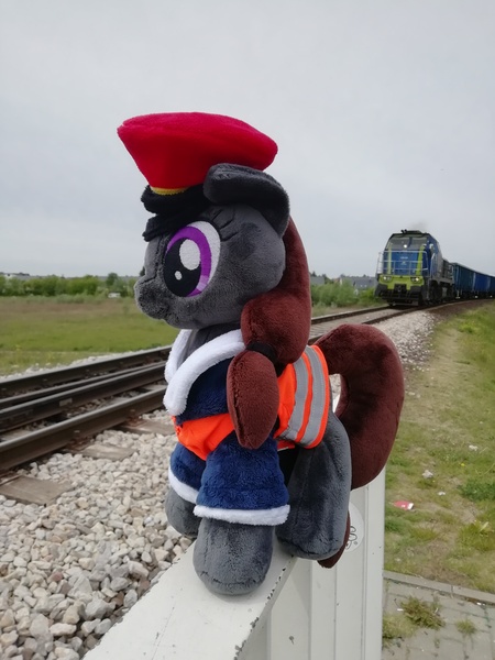 Size: 3120x4160 | Tagged: derpibooru import, oc, oc:steel road, photo, plushie, poland, safe, track, train