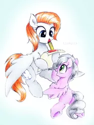 Size: 2303x3072 | Tagged: safe, artist:liaaqila, derpibooru import, sweet pop, oc, oc:sky chase, pegasus, pony, autograph, cute, female