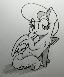 Size: 2736x3287 | Tagged: artist:c.a.m.e.l.l.i.a, black and white, cloud kicker, cute, derpibooru import, grayscale, looking back, monochrome, pegasus, safe, simple background, traditional art, white background