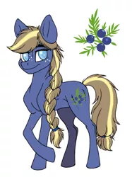 Size: 3444x4608 | Tagged: safe, artist:celestial-rainstorm, derpibooru import, oc, oc:juniper berry, unofficial characters only, earth pony, pony, blind, female, mare, offspring, parent:applejack, parent:oc:ash bark, parents:canon x oc, simple background, solo, white background