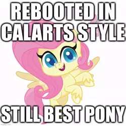 Size: 700x700 | Tagged: safe, derpibooru import, fluttershy, pegasus, pony, my little pony: pony life, best pony, calarts, calarts smile, caption, image macro, reboot, reboot series, text