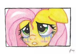 Size: 1840x1311 | Tagged: safe, artist:lennondash, derpibooru import, fluttershy, pony, blushing, bust, crying, female, floppy ears, frame, gritted teeth, mare, solo, stray strand, teary eyes, three quarter view, traditional art