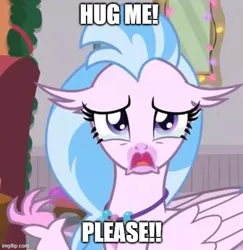 Size: 500x515 | Tagged: bronybait, caption, classical hippogriff, cropped, crying, cute, derpibooru import, diastreamies, edit, edited screencap, hippogriff, hug request, image macro, jewelry, meme, necklace, sad, safe, screencap, silverstream, solo, teary eyes, text, the hearth's warming club
