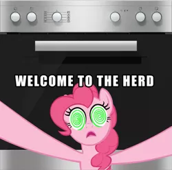 Size: 803x798 | Tagged: safe, derpibooru import, pinkie pie, earth pony, pony, bad pun, german, meme, pun, read description, stove, swirly eyes, welcome to the herd