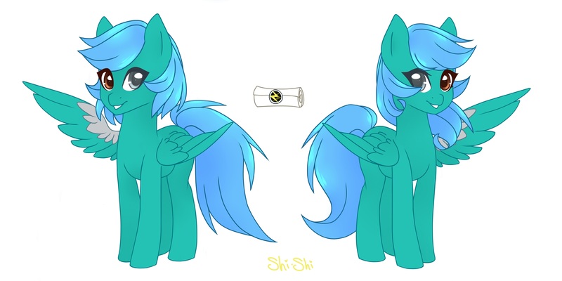 Size: 6000x3000 | Tagged: artist:shishi, commission, derpibooru import, oc, pegasus, pegasus oc, reference, reference sheet, rule 63, safe, unofficial characters only, wings