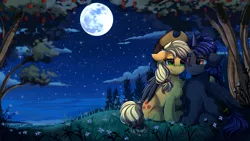 Size: 2920x1642 | Tagged: safe, artist:pridark, derpibooru import, applejack, oc, alicorn, earth pony, original species, pony, alicorn oc, apple, apple tree, canon x oc, chest fluff, commission, cowboy hat, cute, duo, flower, food, full moon, hat, horn, moon, night, night sky, paws, scenery, scenery porn, sitting, sky, stars, stetson, tree, wings