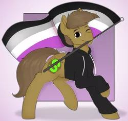 Size: 7481x7086 | Tagged: safe, artist:almond evergrow, derpibooru import, ace, oc, oc:almond evergrow, earth pony, pony, asexual pride flag, asexuality, beanie, clothes, flag, hat, hoodie, male, pose, pride, pride flag, pride month, proud, stallion