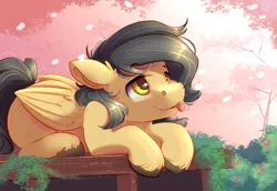 Size: 4000x2750 | Tagged: safe, alternate version, artist:ardail, derpibooru import, oc, oc:crisom chin, pegasus, pony, :p, cherry blossoms, cute, flower, flower blossom, prone, raffle prize, solo, tongue out, wings