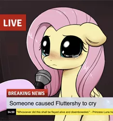 Size: 1757x1881 | Tagged: safe, artist:moozua, derpibooru import, edit, editor:jacktheguy, fluttershy, pegasus, pony, big eyes, blushing, crying, crying cat, cute, dilated pupils, exploitable meme, female, floppy ears, hoof hold, hooves, implied princess luna, looking at you, mare, meme, microphone, missing cutie mark, news meme, offscreen character, ponified meme, sad, sadorable, shyabetes, solo, solo focus, teary eyes, text, this will end in pain and/or death
