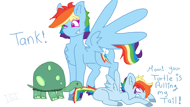 Size: 2560x1440 | Tagged: safe, artist:shinningblossom12, derpibooru import, rainbow dash, tank, oc, oc:rainbow sky, pegasus, pony, tortoise, chest fluff, colored hooves, dialogue, female, mare, mouth hold, not rainbow dash, offspring, one eye closed, parent:rainbow blitz, parent:rainbow dash, parents:dashblitz, pegasus oc, product of selfcest, scared, simple background, tail, tail pull, white background, wings, wink