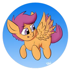 Size: 1800x1800 | Tagged: safe, artist:ponyxwright, derpibooru import, scootaloo, pegasus, pony, atg 2020, cute, cutealoo, female, filly, flying, newbie artist training grounds, scootaloo can fly, solo