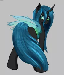 Size: 3704x4294 | Tagged: artist:renarde-louve, changeling, changeling queen, derpibooru import, female, lidded eyes, looking back, queen chrysalis, safe, solo