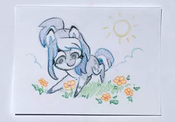 Size: 1200x836 | Tagged: safe, artist:dawnfire, derpibooru import, oc, unofficial characters only, earth pony, pony, commission, flower, solo, sun, traditional art