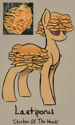 Size: 1256x2076 | Tagged: safe, artist:czu, derpibooru import, part of a set, oc, unofficial characters only, mushroom pony, original species, mushroom