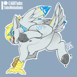 Size: 3000x3000 | Tagged: artist:bagelbytes, artist:tubswubadubs, derpibooru import, featureless crotch, hippogriff, looking back, oc, oc:cirrus sky, open mouth, raised tail, safe, spread wings, tail, talons, underhoof, wings