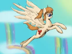 Size: 1600x1200 | Tagged: safe, artist:tomat-in-cup, derpibooru import, ponified, pegasus, pony, brandenburg, cloud, female, flying, heterochromia, mare, rainbow, rainbow waterfall, solo