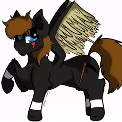 Size: 800x800 | Tagged: safe, artist:cocoa_moood__, derpibooru import, oc, unofficial characters only, pegasus, pony, chest fluff, eye scar, pegasus oc, raised hoof, scar, simple background, smiling, solo, white background, wings