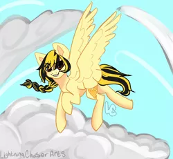 Size: 2500x2300 | Tagged: safe, artist:lightningchaser13, artist:lightningchaserarts, derpibooru import, oc, oc:lightning chaser, pegasus, pony, braid, cloud, improve, redraw, sky, wings